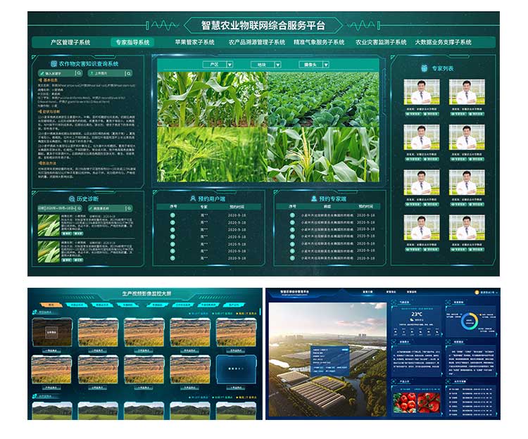 图片关键词