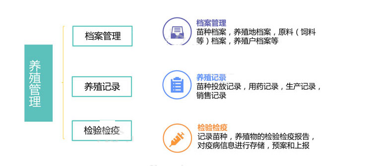 传感器