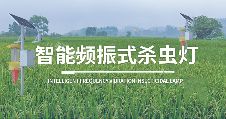 传感器