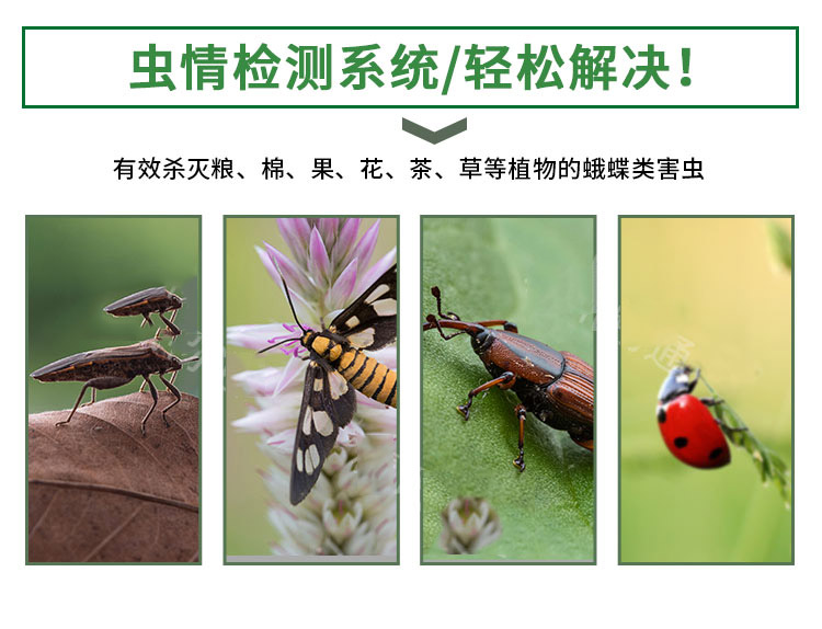 传感器