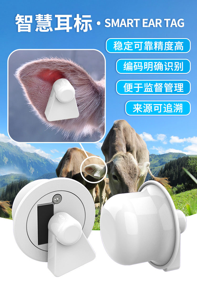传感器